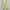 Yellow, variant on pstuiky Trousers for Women, Women Solid Color Mid Waist Classic Fit Casual Plus Size Autumn Pants Elastic Waisted Gift for Girl Clearance Sale Blue L