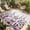 Maroon, variant on Grey Botanical Outdoor Rug for Patio/Deck/Porch, Non-Slip Large Area Rug 3 x 5 Ft, Dragonfly Flower Leaf Retro Ink Style Indoor Outdoor Rugs Washable Area Rugs, Reversible Camping Rug Carpet Runner