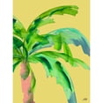 thumbnail image 3 of DeRice, Julie 15x18 Black Modern Framed Museum Art Print Titled - Palm on Sunlight II, 3 of 5