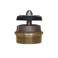 thumbnail image 1 of Hydrostatic Relief Valve for Pool, 1 of 1