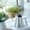 Silver, variant on Kiplyki Flash Stainless Steel Watering Can - Metal Watering Can With Long Spout To Spillage, Perfect Plant Watering Can For Outdoor And Indoor Plants