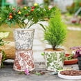 thumbnail image 5 of Vintage Ceramic Planter Set of 3 - Decorative Indoor Outdoor Flower Pots with Drainage Holes - Tuscan Decor Pots 5.5 Ice Crackle Glaze Planters for Home Kitchen Patio and Garden, 5 of 8
