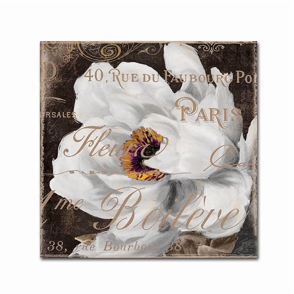 Trademark Fine Art "Fleurs Blanc III" Canvas Art by Color Bakery