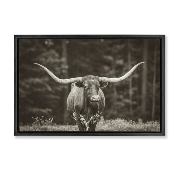 Stupell Industries Longhorn Among Flowers Animals Photography Black Floater Framed Canvas Art Print Wall Art, 25 x 17