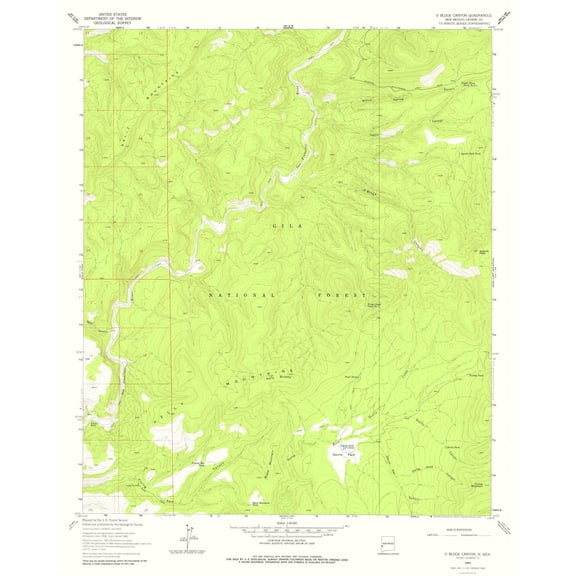 Topographical Map - O Block Canyon New Mexico Quad - USGS 1963 - Vintage Wall Art