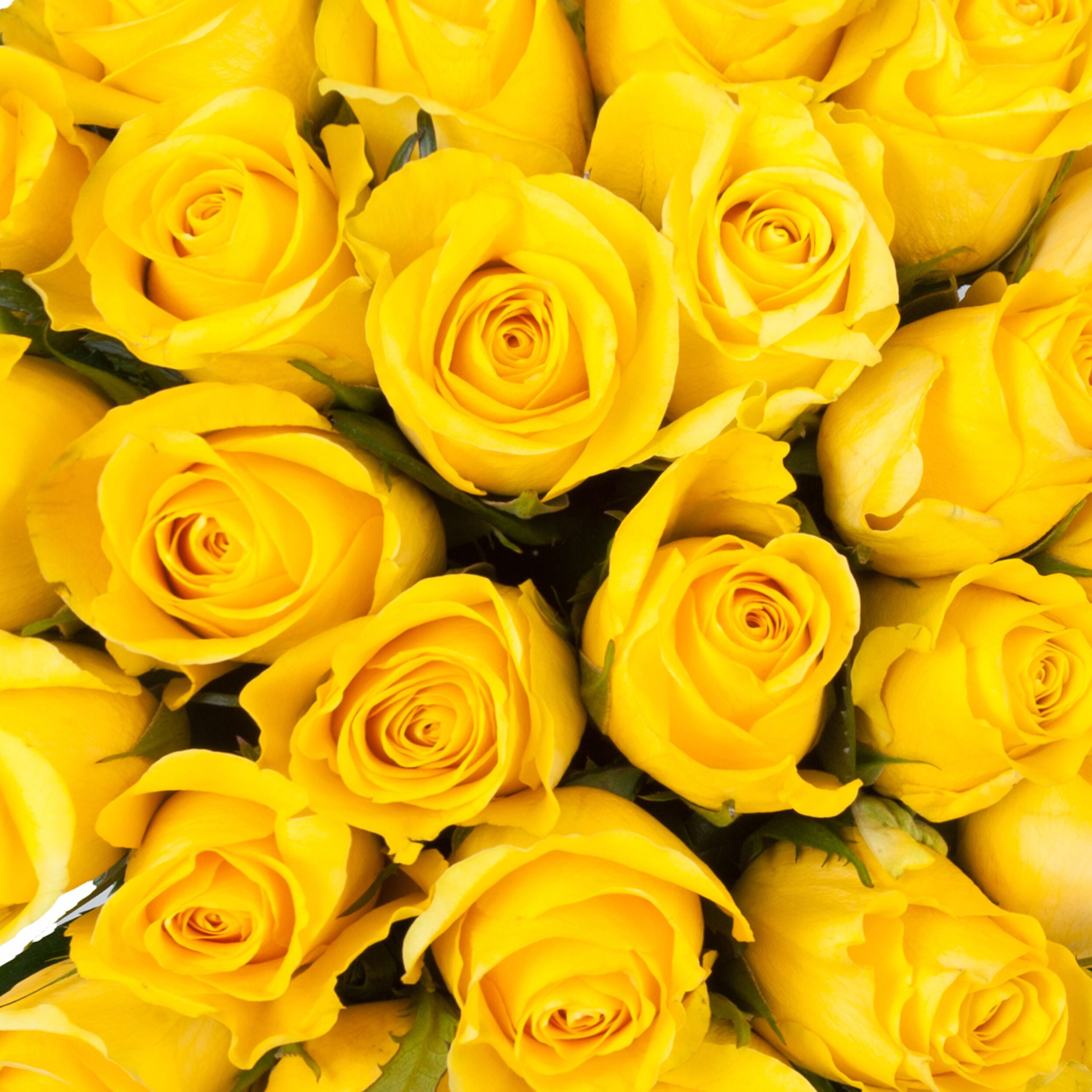 Does Walmart Sell Flowers Near Me - Social / Walmart is the biggest retail store in united ...