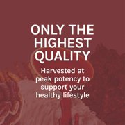Host Defense Reishi Extract - 1 fl oz (30 Servings)