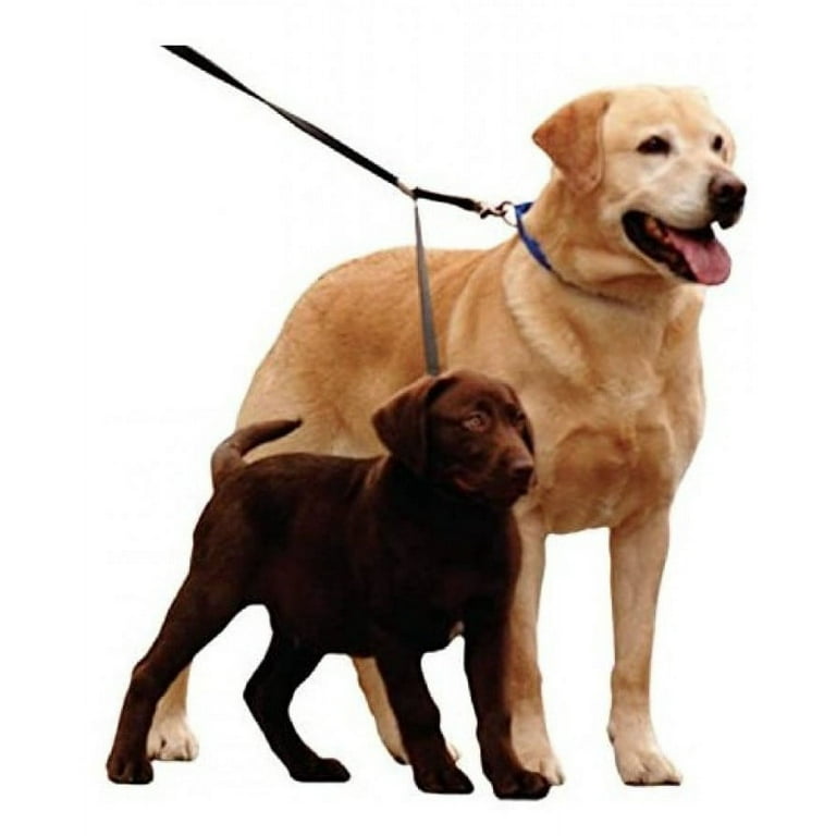 Sporn double top dog leash