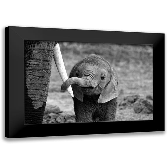 Alicke, Bjoern 14x11 Black Modern Framed Museum Art Print Titled - Close