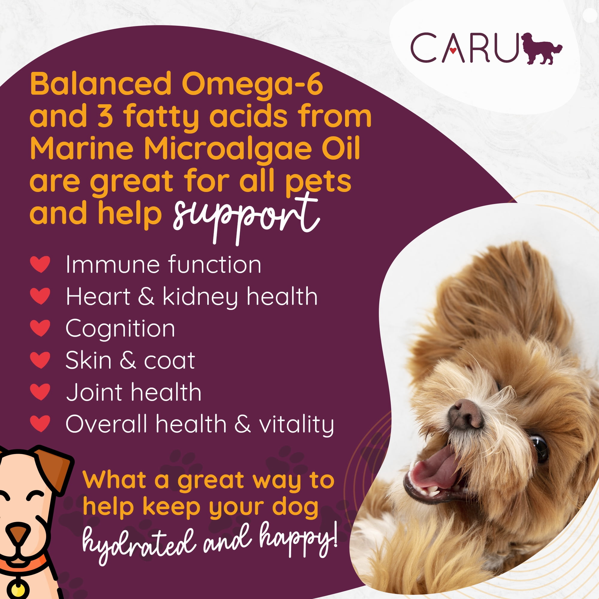 Caru - Real Turkey with Lamb for Dogs, Natural Adult Wet Dog Food with Added Vitamins and Minerals, Free from Grain, Wheat and Gluten (12.5 Ounce, Pack of 12)