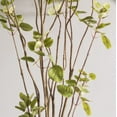 thumbnail image 5 of Vickerman 5' Artificial Green Potted Cotinus Coggygria Tree., 5 of 8