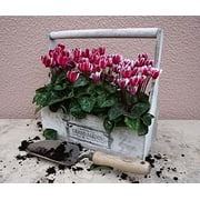 Dewitt Forged Hand Trowel
