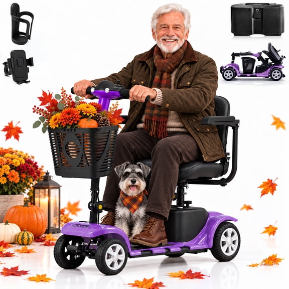 Foldable Mobility Scooter for Adults Elderly– 4-Wheel Portable Motorized Scooter with 300 lbs Capacity, Detachable Battery,Including Charger