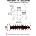 thumbnail image 2 of Halloween Centipede Cat Costume, Pet Cosplay Outfit for Cats & Small Dogs Adjustable Spooky Cloak with 3D Antennae Legs, Soft PP Filling, Secure 4-Point Fit, Party Dress-Up, Kittens Puppies, Red, 2 of 7