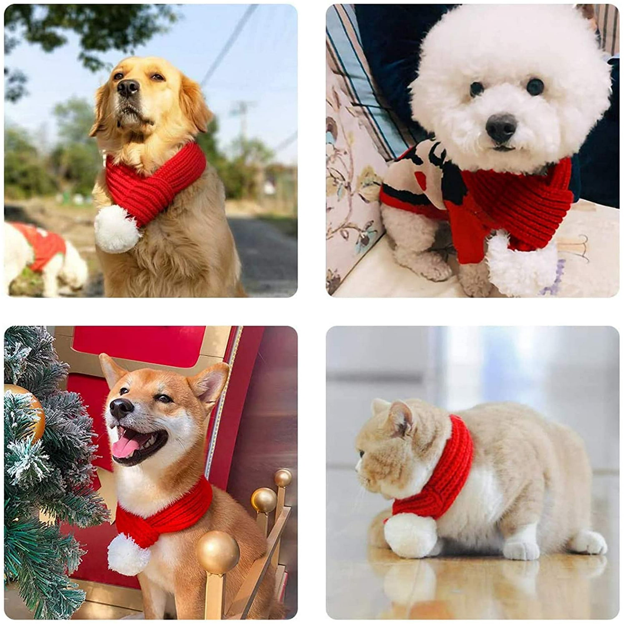 Dog christmas hat and scarf hotsell