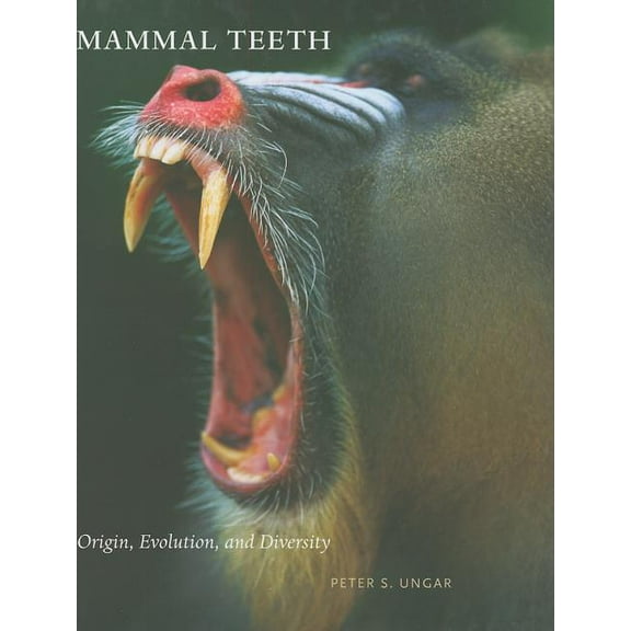 Mammal Teeth : Origin, Evolution, and Diversity
