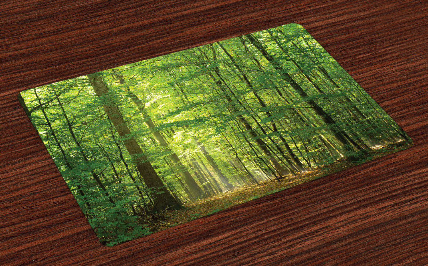 Woodland Placemats Set of 4 Deciduous Forest Trees in Summertime