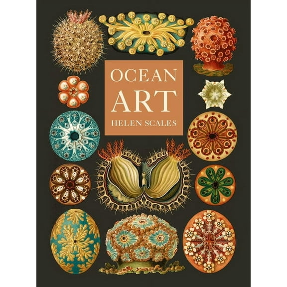 Ocean Art: From the Shore to the Deep, (Hardcover)