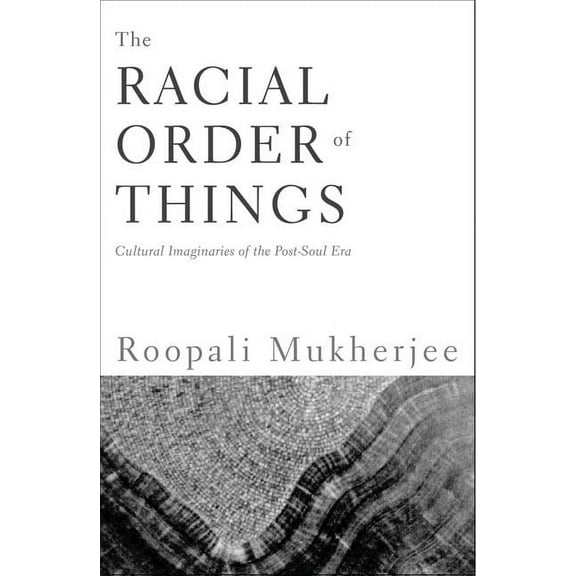 The Racial Order Of Things: Cultural Imaginaries Of The Post-Soul Era, (Paperback)