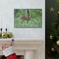 thumbnail image 6 of Majestic White Tailed Deer Art Majestic White Tailed Deer Print Animal Wall Art Wildlife Canvas Prints Wall Art Ready to Hang Unframed, 6 of 18