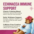 thumbnail image 4 of Celestial Seasonings Sleepytime Wellness Echinacea Immune Support Herbal Tea Bags (20 Count), 4 of 10
