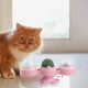 thumbnail image 5 of Juguete giratorio para gatos Yuyangstore Con bola de hierba Gatera Luces campana 2 Piezas, 5 of 9