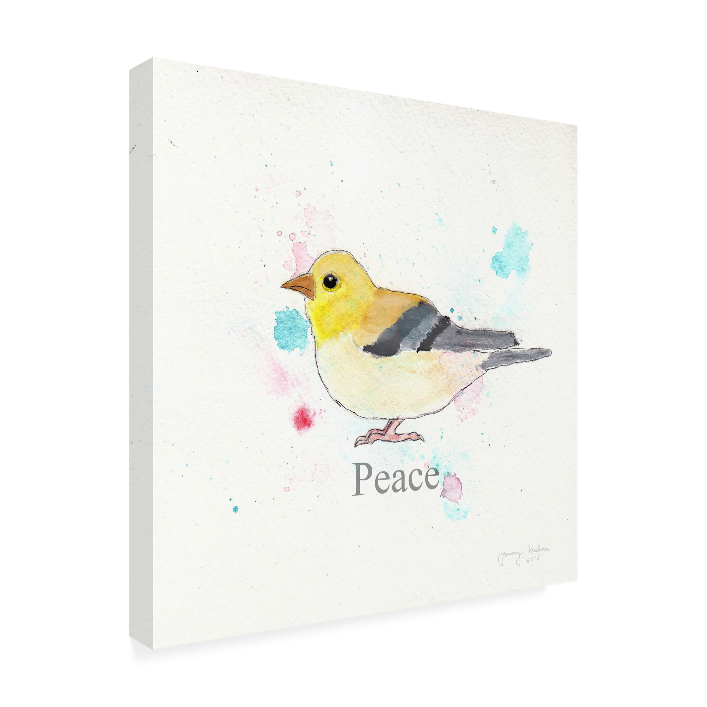 Trademark Fine Art 'Peace' Canvas Art by Tammy Kushnir