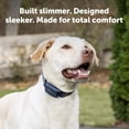 thumbnail image 3 of PetSafe Pro Dog Trainer with Remote – 1000 ft Range – Tone, Vibration and 19 Levels of Static, 3 of 9