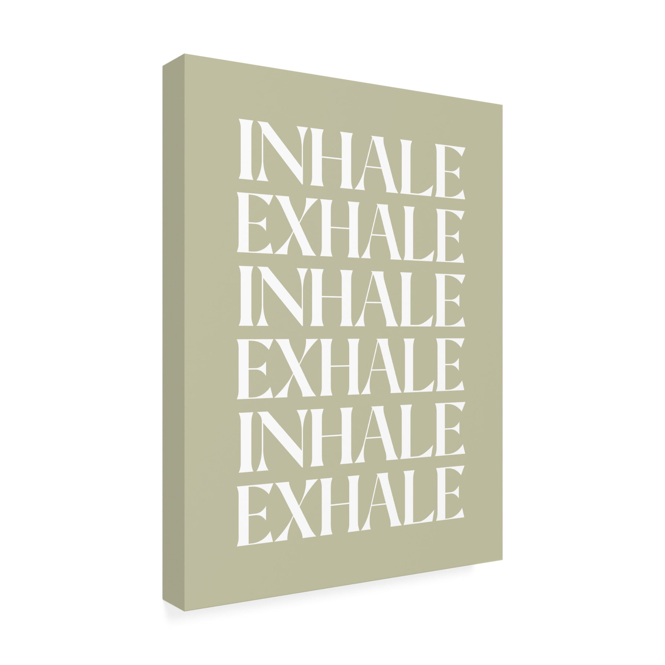 Trademark Fine Art Beth Cai  Inhale Exhale Canvas Wall Art