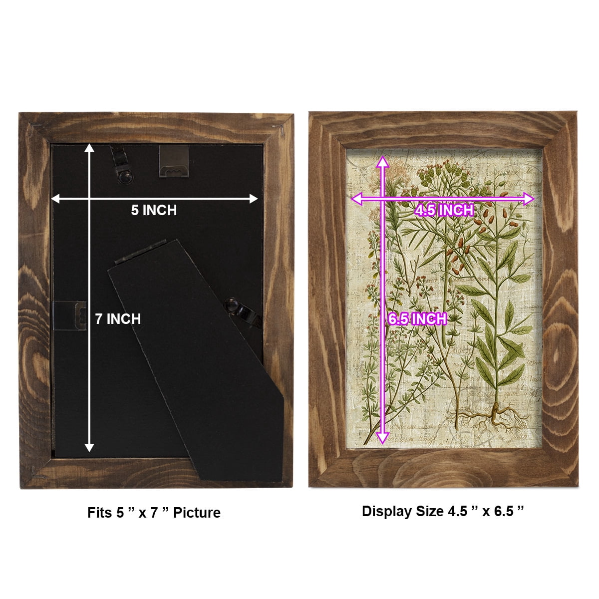 Garden Verses I -Framed Print w/glass-Walnut