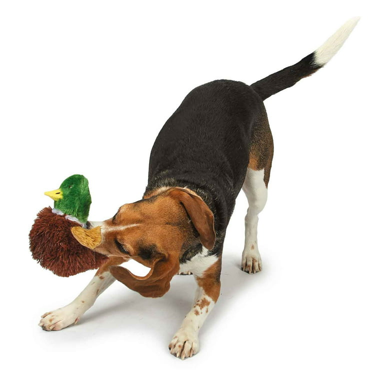 Suertree Squeaky Dog Toys for Aggressive Chewer, Interactive Puppy Toys for  Small Dogs, Duck, Chicken, Bird Dog Plush Toys, Medium Dog Birthday Toy  with Crinkle Paper, Dog Rope Toys, Dog (Medium) 