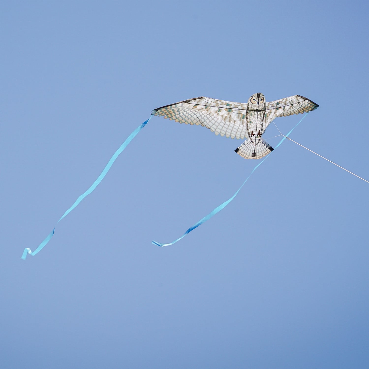 In the Breeze 3518 — 40-inch Owl Bitty Bird Kite — Bold, Small, Fully Printed Bird of Prey Kite for All Skill Levels