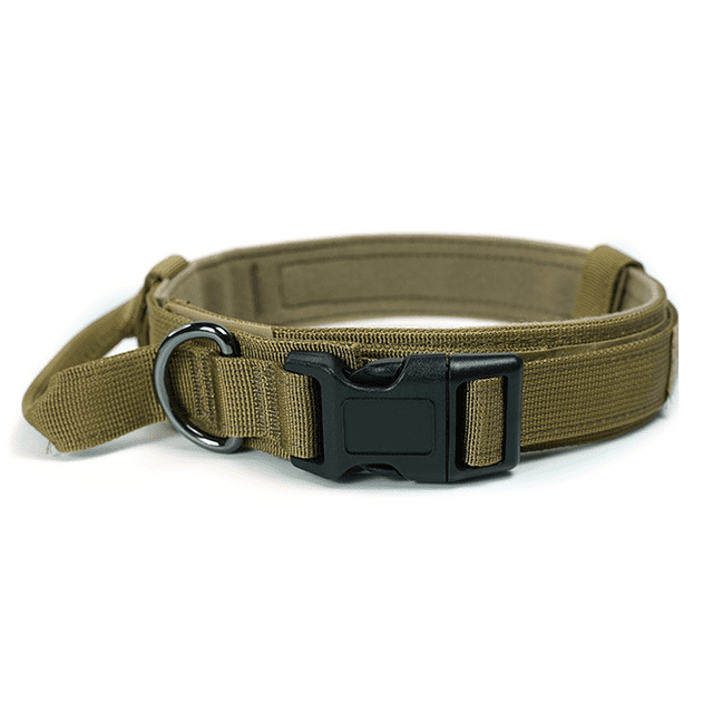 Collier Réglable en Nylon pour Chien Boucle en Métal Robuste avec Poignée pour Dressage de Chien