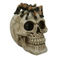 thumbnail image 6 of Halloween Macabre Creepy Crawler Tarantula Arachnid Spider On Skull Figurine, 6 of 8