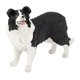 thumbnail image 1 of Figura Papo Border Collie Multicolor Papo 792463800210, 1 of 1