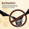 thumbnail image 4 of Donaldson Farms Bat Repellent Spray - Drive Bats Away from Nesting Using Our Bat Repellent - Keep Bats Away from Your Home, 16oz, 4 of 7