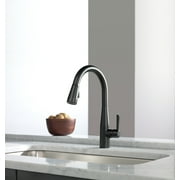 Delta 9113-BL-DST Essa Single Handle Pull-Down Kitchen Faucet in Matte Black