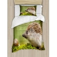 thumbnail image 1 of Hedgehog Duvet Cover Set Twin Size, Animal Photography in Eastern Europe Slug with Hedgehog Scenes from Nature Print, Decorative 2 Piece Bedding Set with 1 Pillow Sham, Green Brown, by Ambesonne, 1 of 3