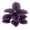 A, variant on Artificial Purple Calathea Plant, Purple Large Leaves Artificial Plants, Spring Artificial Greenery PottedPlants Indoor Outdoor Ornamental Hotel Room Desk Decorate (No Flowerpot)