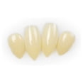 thumbnail image 6 of Deluxe Werewolf Fangs Adult White Cosmetics Disguises One Size Unisex Fancy Dress Party Book Week Halloween, 6 of 6