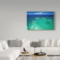 thumbnail image 3 of Trademark Fine Art 'Lanikai Reef' Canvas Art by Cameron Brooks, 3 of 3