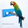 thumbnail image 3 of Standing Rack, Bird Standing Rack  Standing Rack, With Suction Cup Travel Outdoors Animals Pets For Birds Parrots, 3 of 8