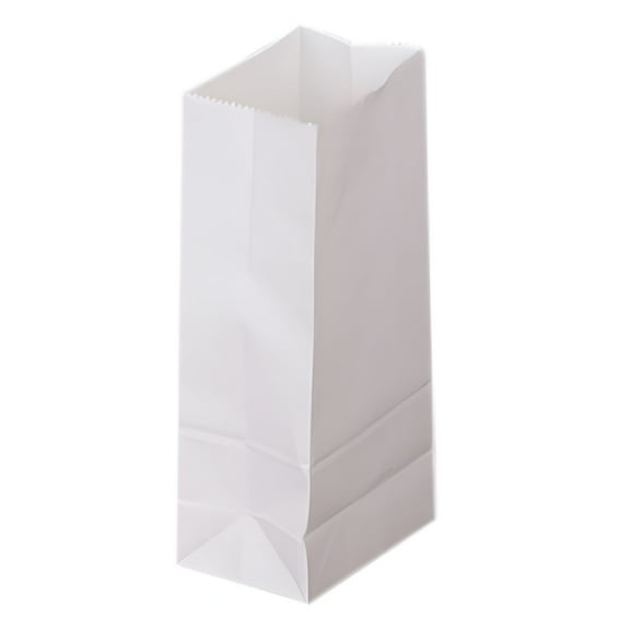 CCOCC 50 Count - White Paper Bags for Packing Lunch & Snacks - Blank White Lunch Bags Paper for Arts & Crafts Projects