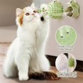 thumbnail image 4 of Catnip Toys for Indoor Cats, Stick on Wall Catnip Ball Toys, 4 of 5