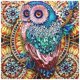 thumbnail image 1 of Kits Punto Cruz Ygjytge Pájaro Forma Especial Arte Pared 5D DIY 100% a estrenar, 1 of 9