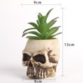 thumbnail image 2 of Skull Plant Pot Human Skull Artificial Craft Planter Supplies, 2 of 7