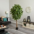 thumbnail image 2 of Nearly Natural 6.5' Ficus Artificial Tree, 2 of 3