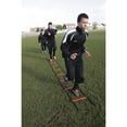 thumbnail image 1 of Precision Agility Ladder, 1 of 1
