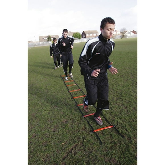 Precision Agility Ladder