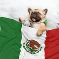 thumbnail image 2 of Dog Blanket Mexican-Flag Soft Dog Blankets for Small Medium Dogs Pet Cat Puppy Blanket Mat Cover, 2 of 7
